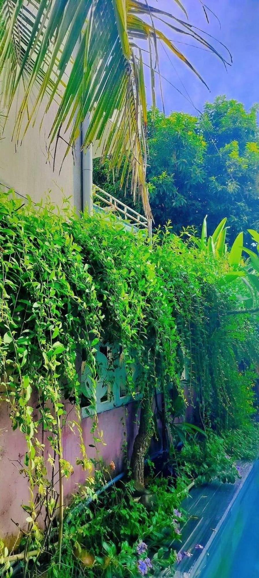 Hoi An Mountain House Villa Zewnętrze zdjęcie
